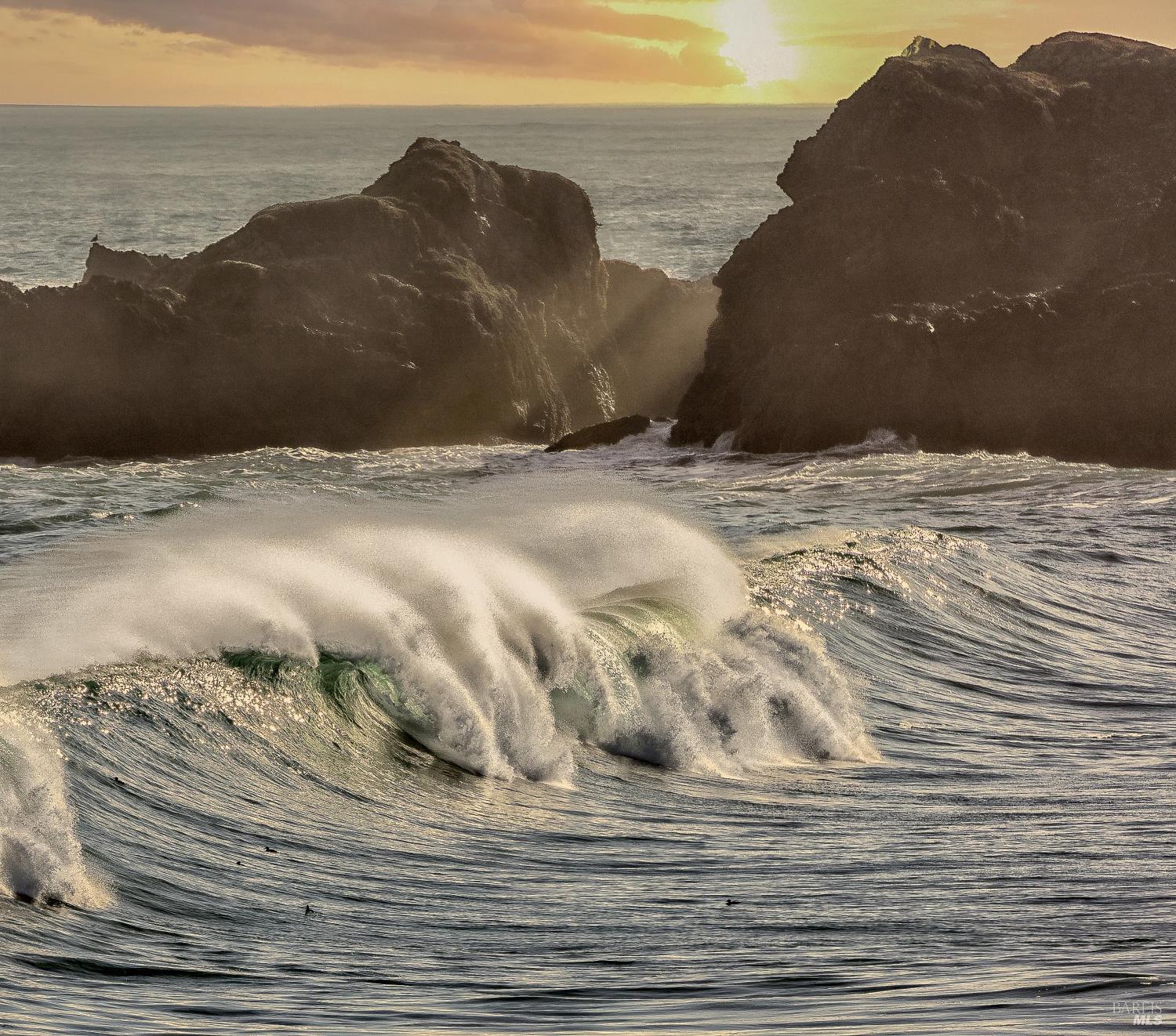 230 Haversack The Sea Ranch CA 95497
