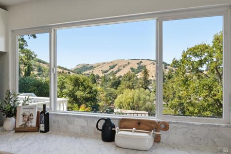 13 Sutro Court Novato CA 94947