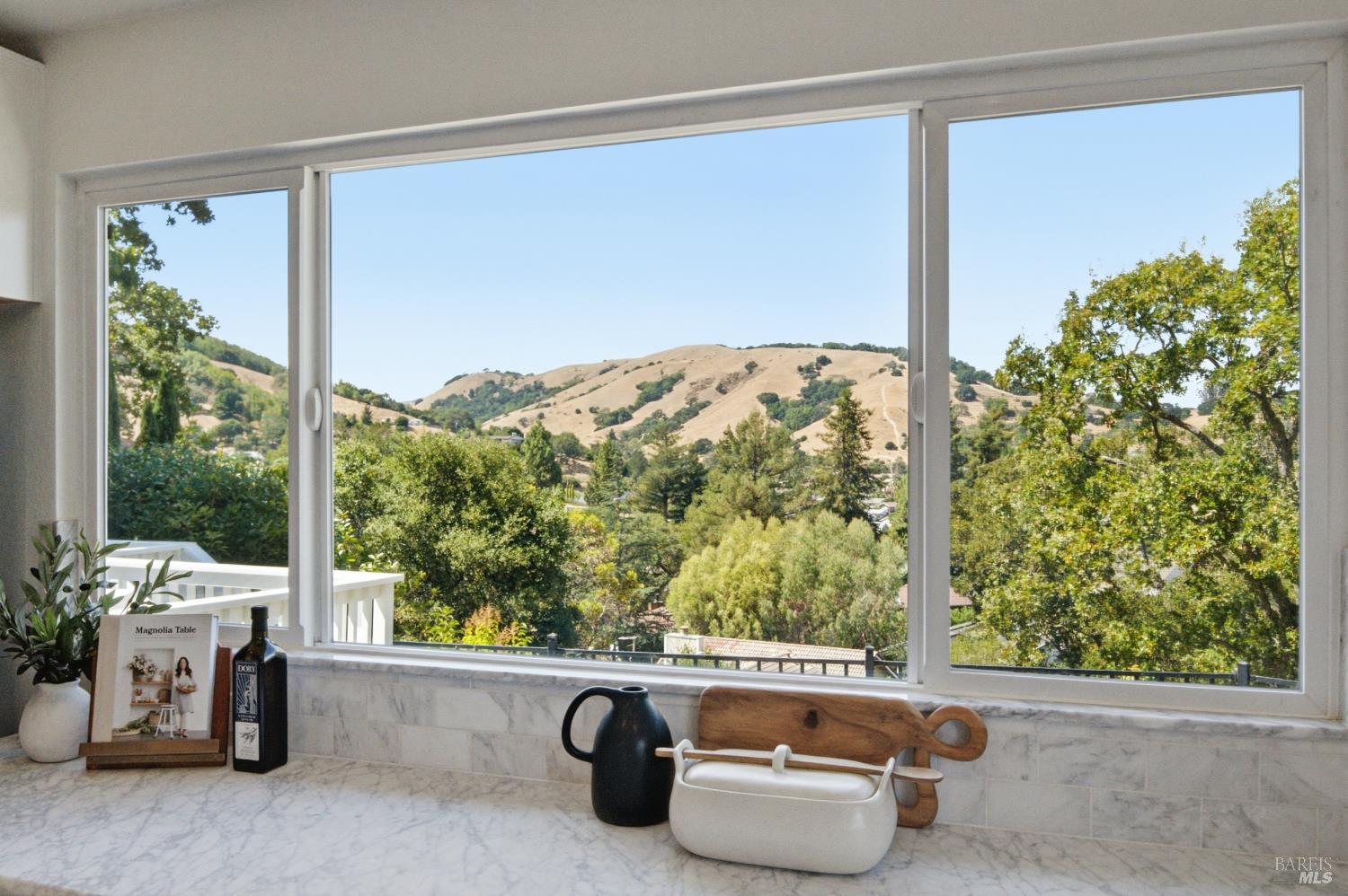 13 Sutro Court Novato CA 94947