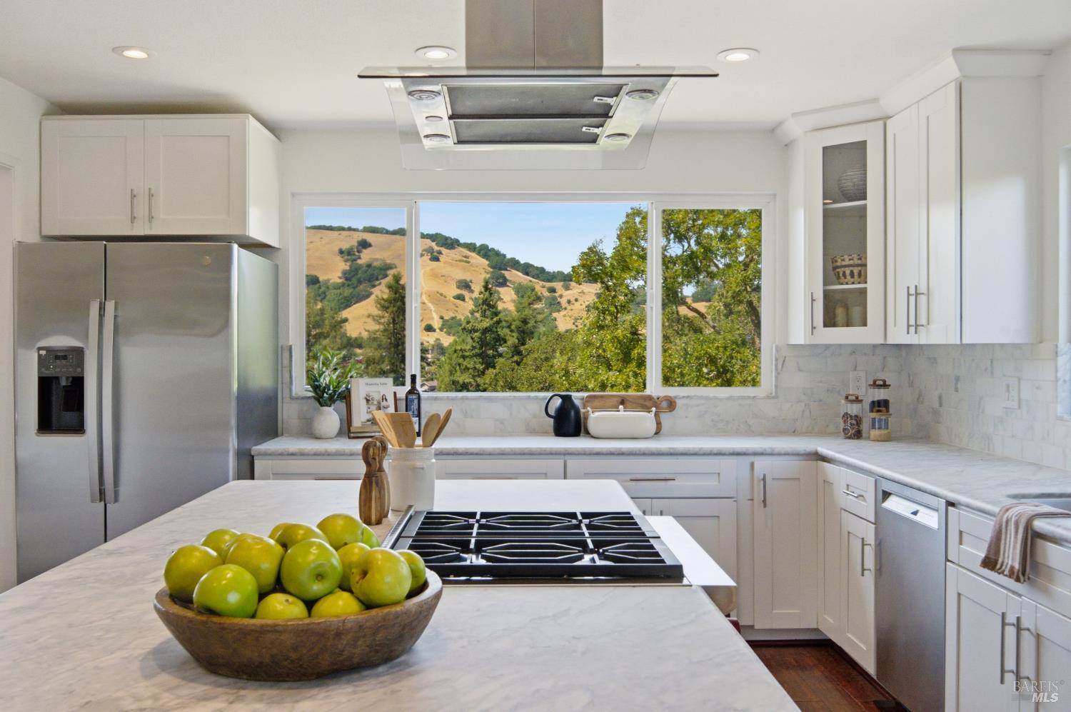 13 Sutro Court Novato CA 94947