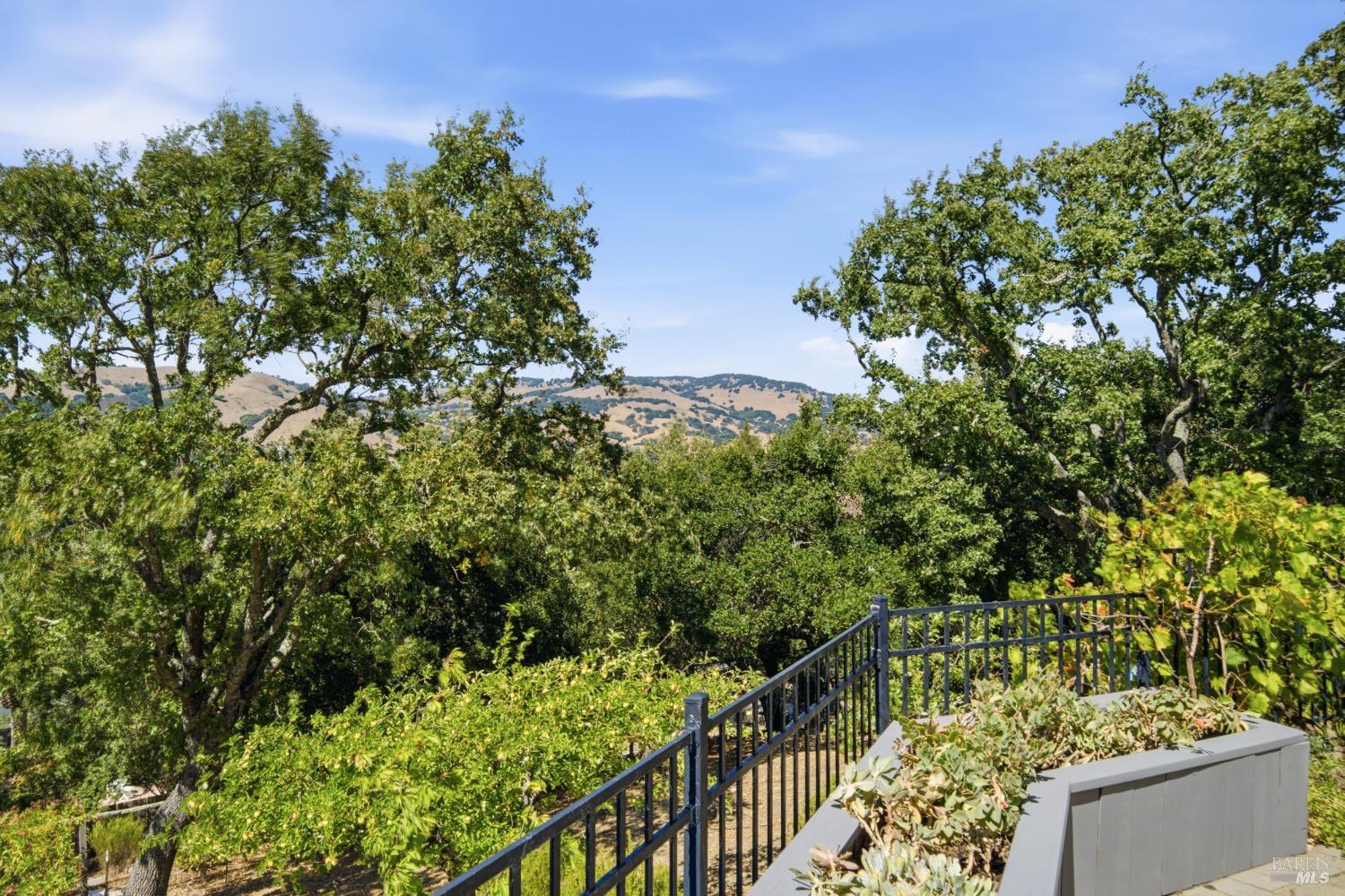 13 Sutro Court Novato CA 94947