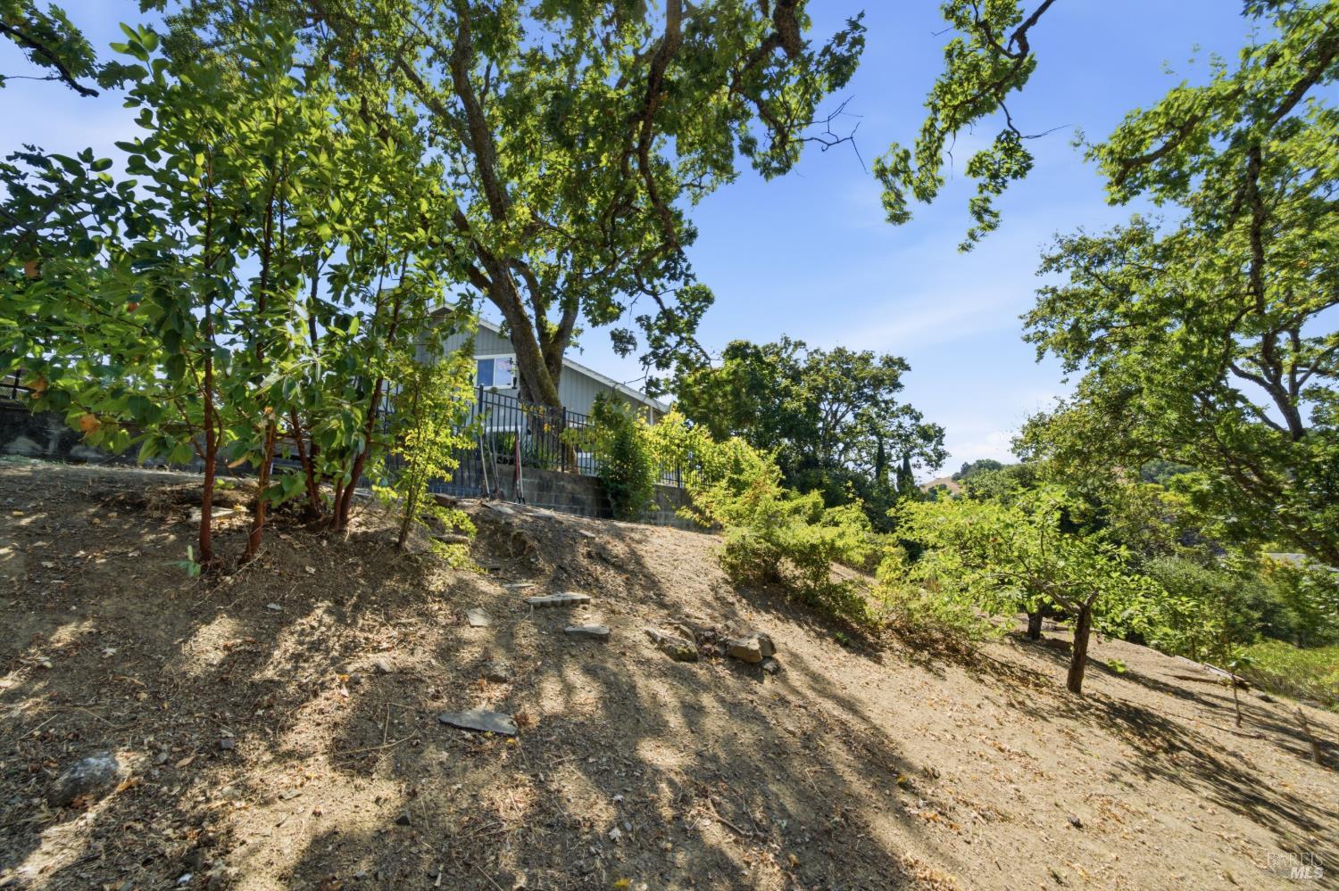 13 Sutro Court Novato CA 94947