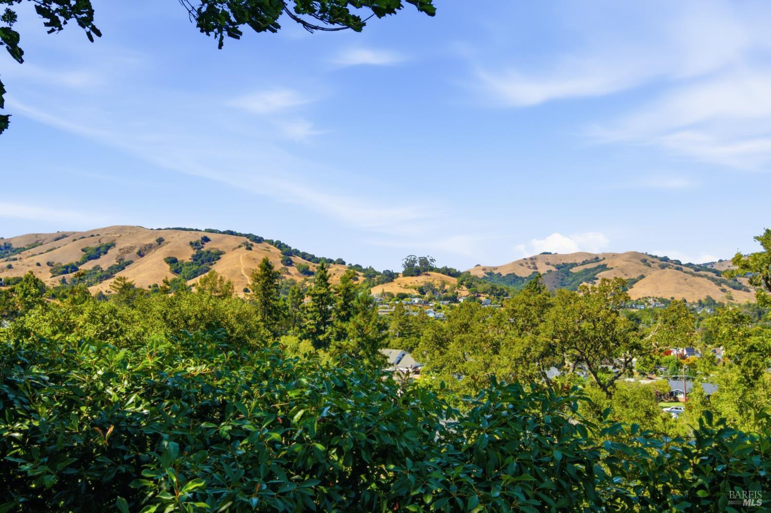 13 Sutro Court Novato CA 94947
