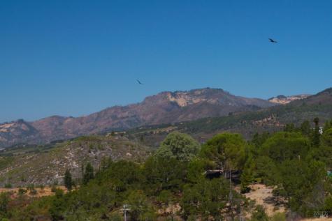 12305 Manzanita Lane Glen Ellen CA 95442