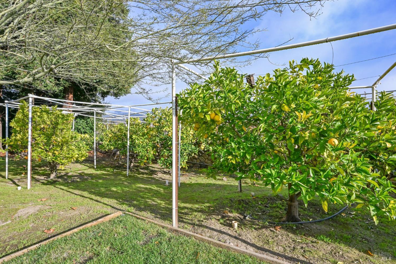 4188 Saint Helena Highway Calistoga CA 94515