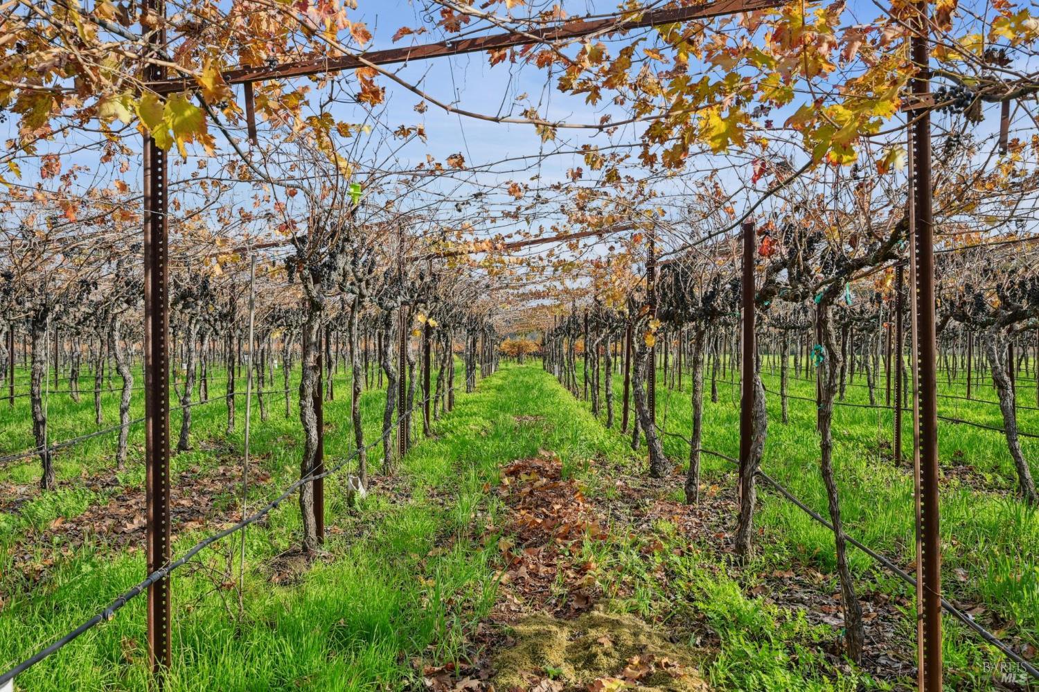 4188 Saint Helena Highway Calistoga CA 94515