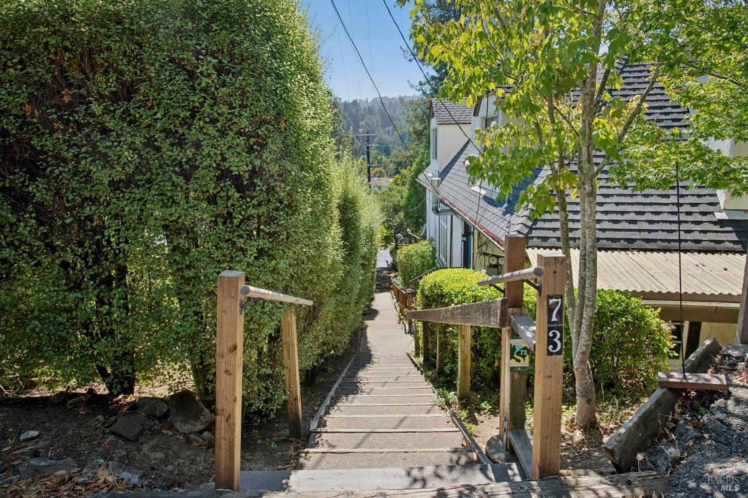 26 Circle Avenue Mill Valley CA 94941