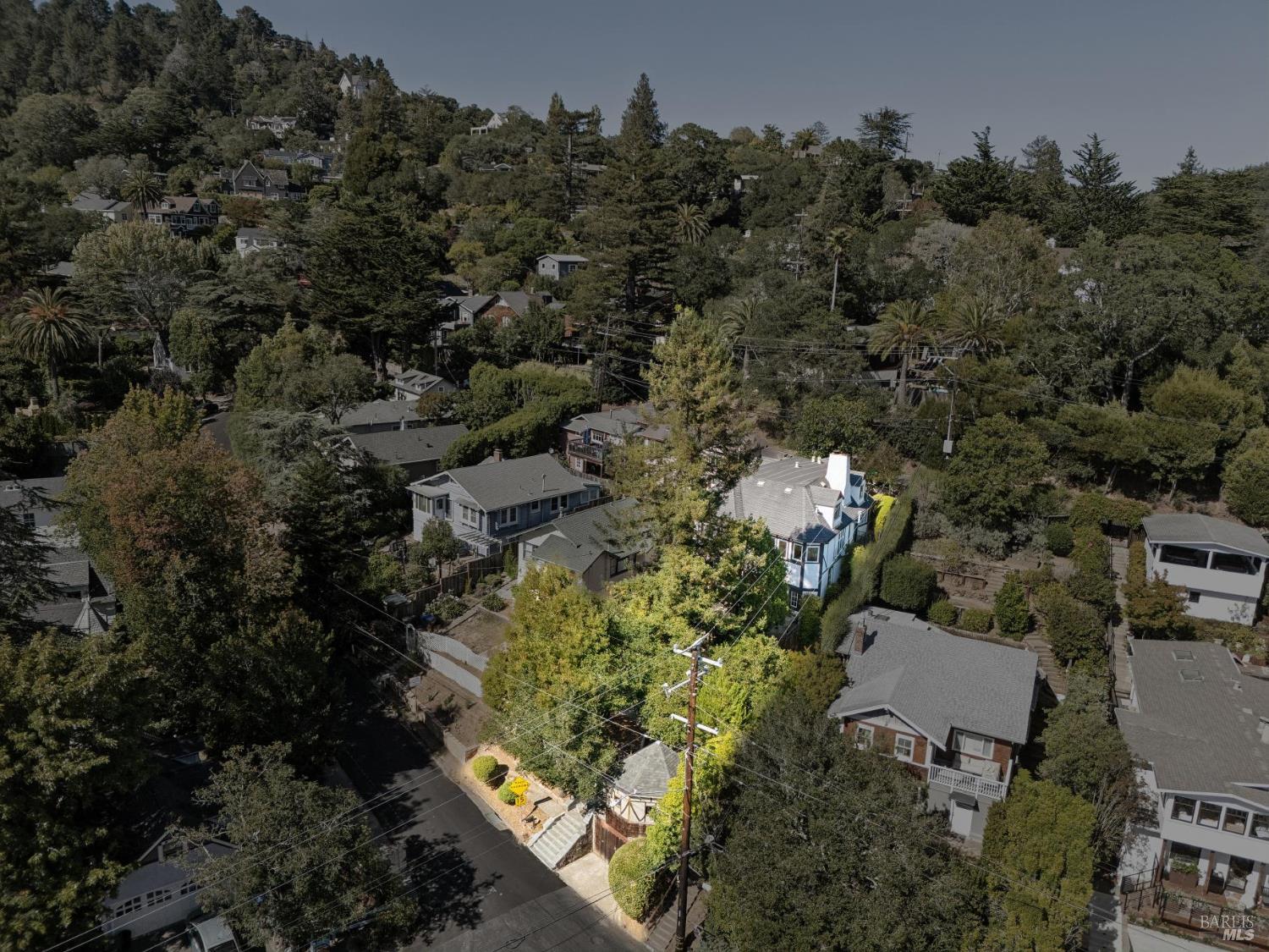26 Circle Avenue Mill Valley CA 94941