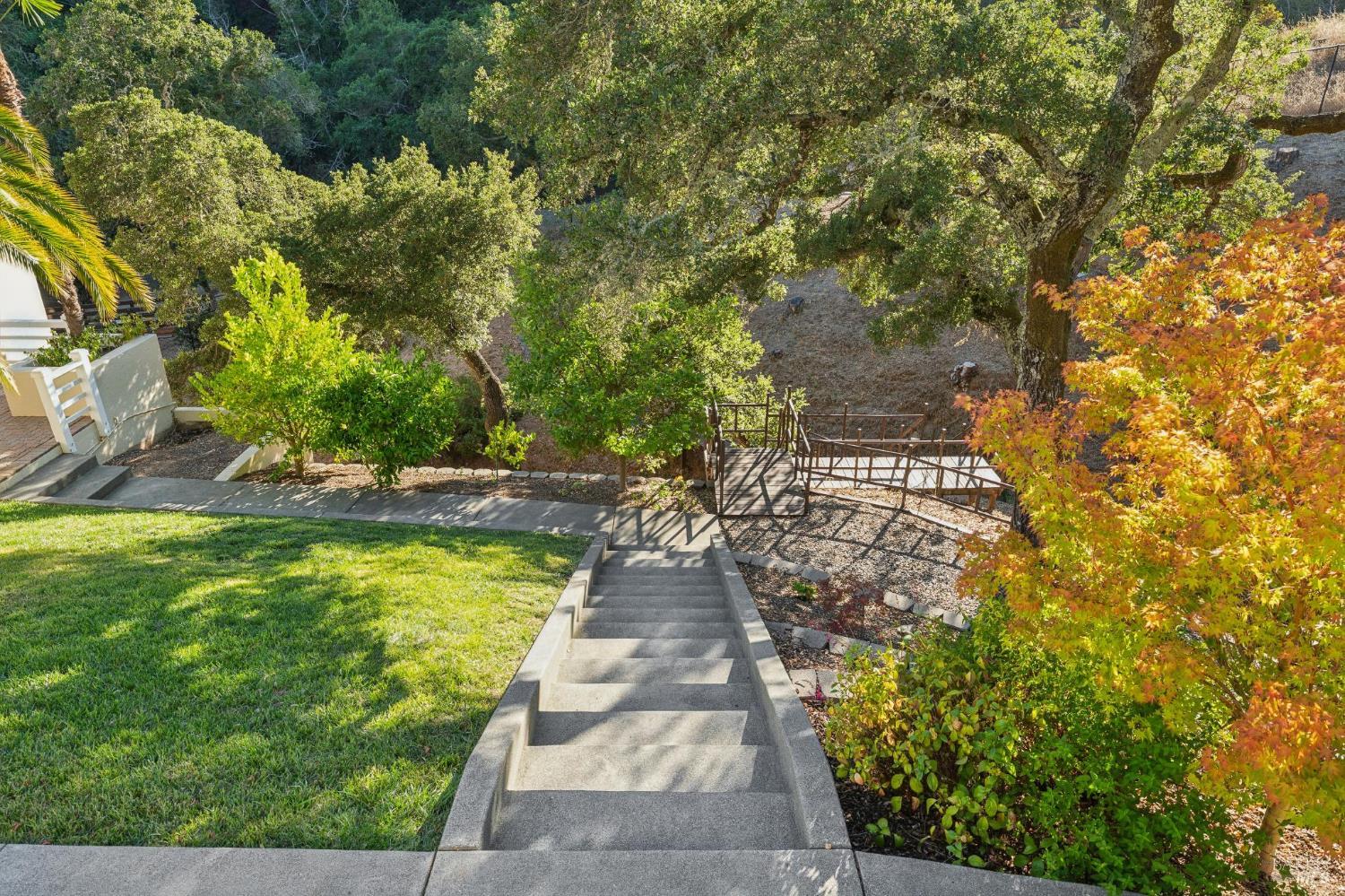626 Blackstone Drive San Rafael CA 94903