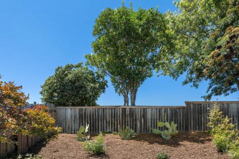 546 Pinewood Drive San Rafael CA 94903