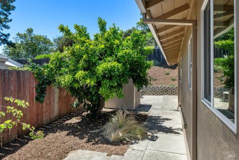 546 Pinewood Drive San Rafael CA 94903