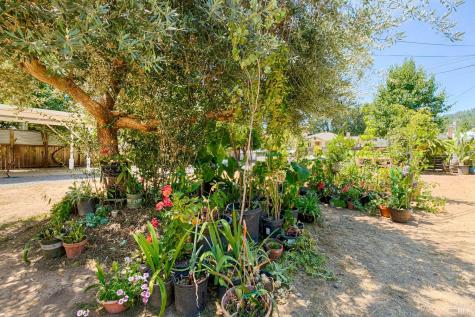 442 N Jefferson Street Cloverdale CA 95425