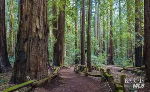 4290 Cazadero Highway Cazadero CA 95421