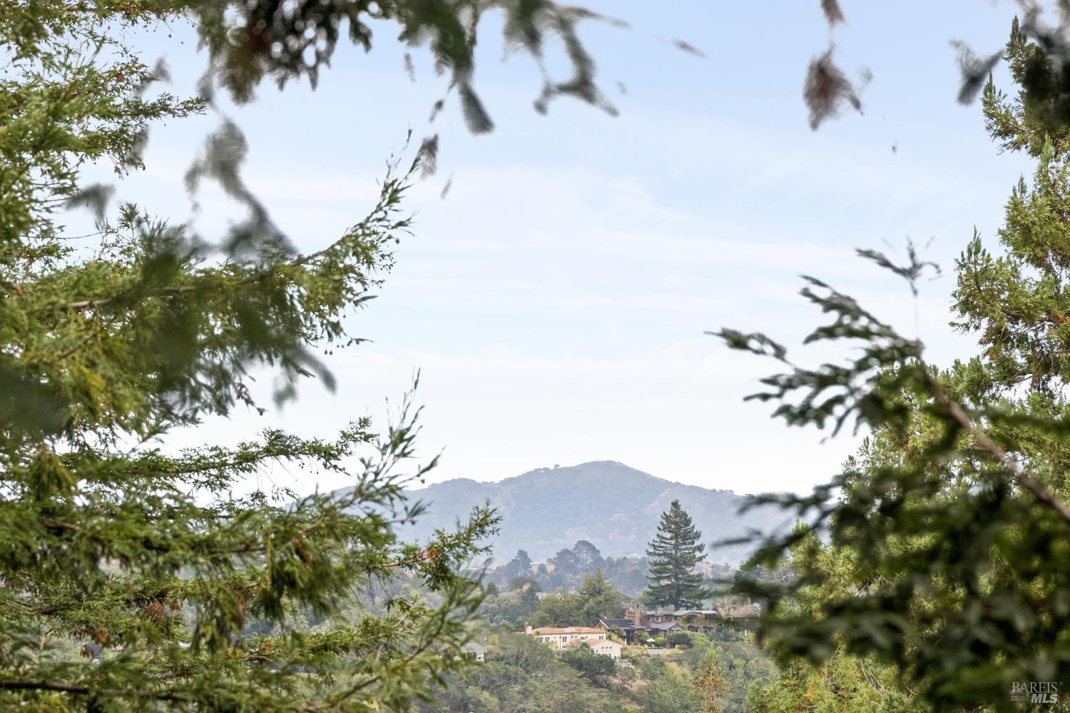 122 Ralston Avenue Mill Valley CA 94941