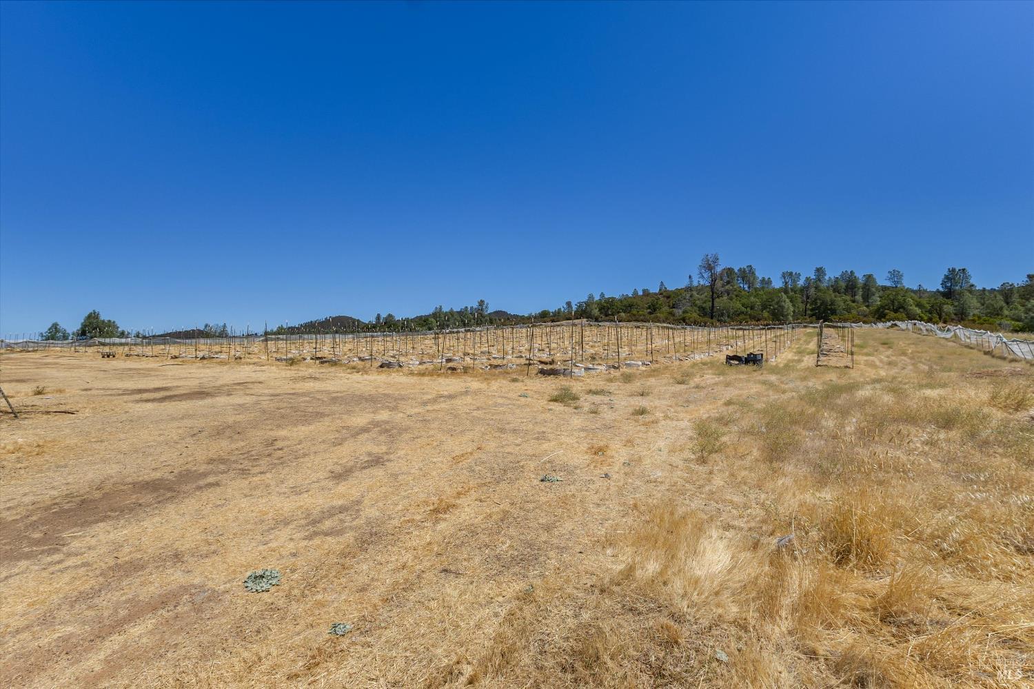 9820 Kelsey Creek Drive Kelseyville CA 95451