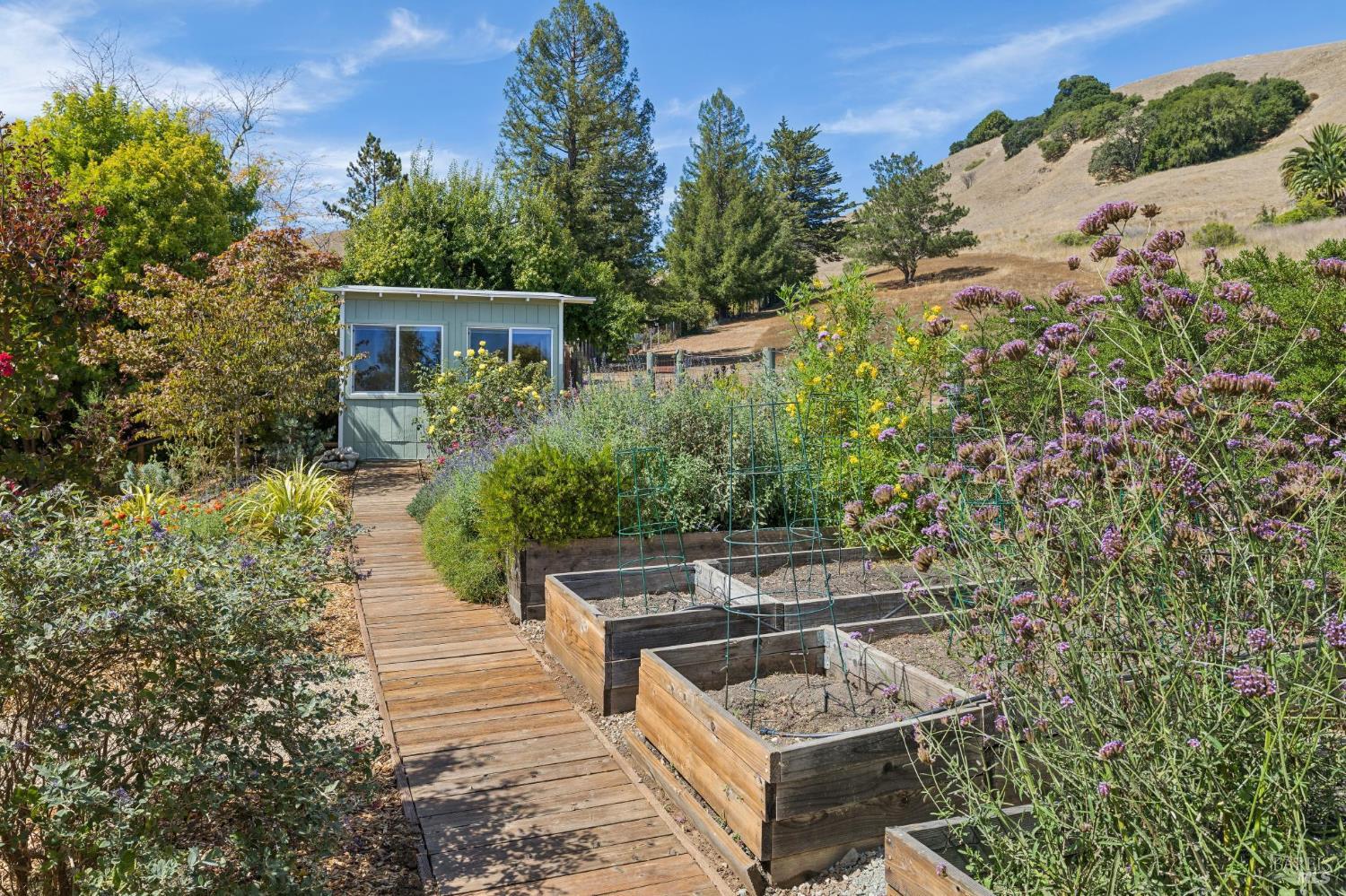 964 Del Ganado Road San Rafael CA 94903