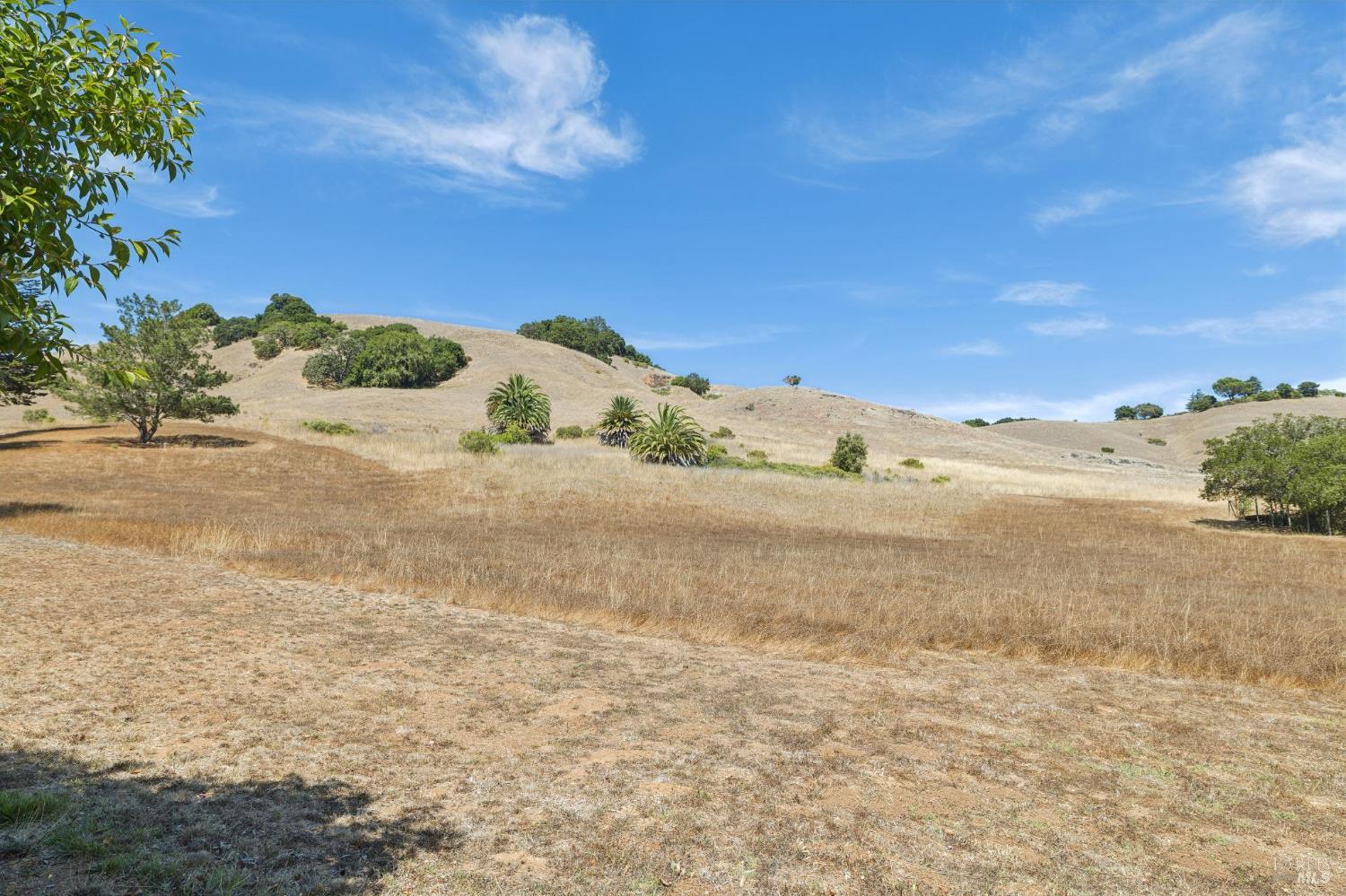 964 Del Ganado Road San Rafael CA 94903