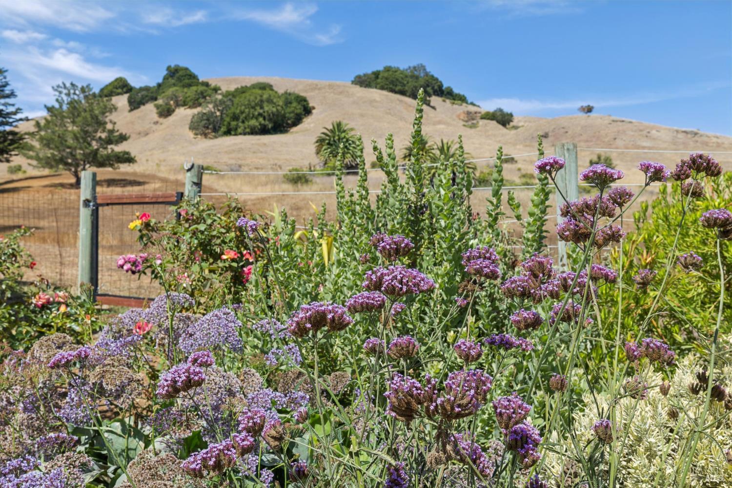 964 Del Ganado Road San Rafael CA 94903