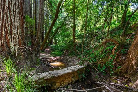 10215 Occidental Road Sebastopol CA 95472
