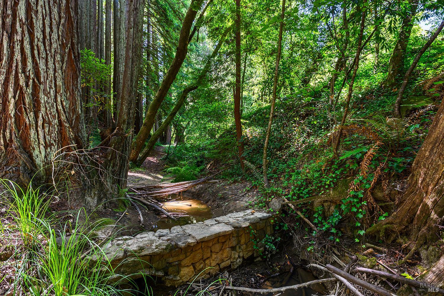 10215 Occidental Road Sebastopol CA 95472
