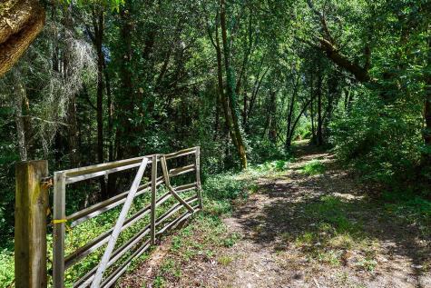 10215 Occidental Road Sebastopol CA 95472