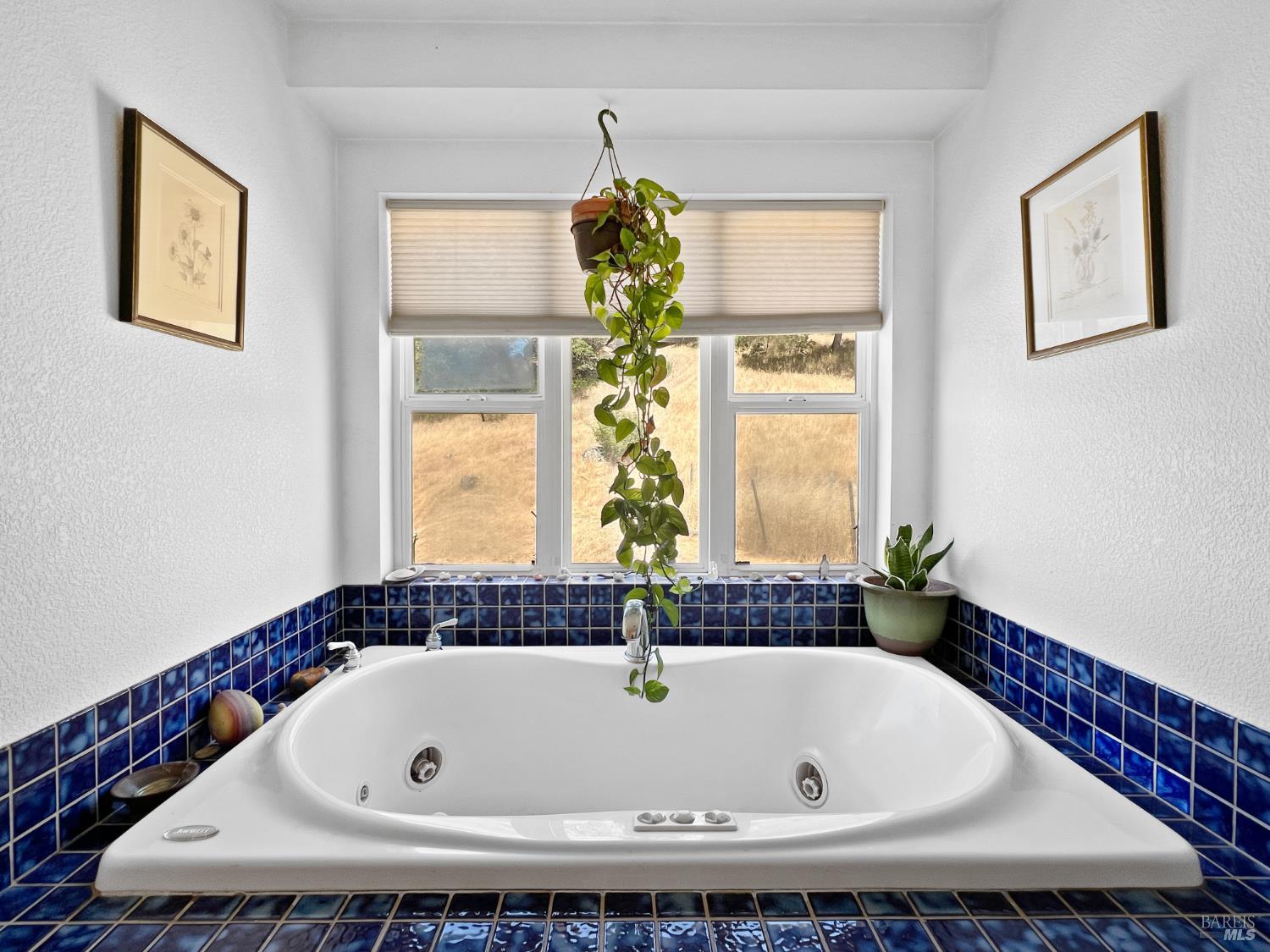 8800 Cave Creek Road Redwood Valley CA 95470