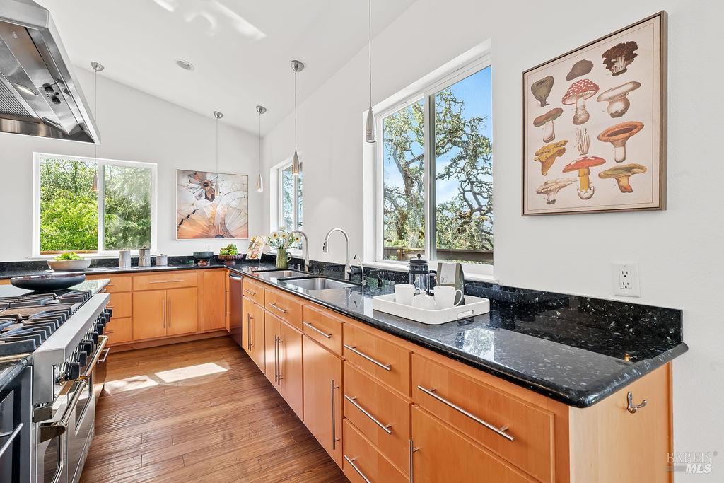 31000 Pine Mountain Road Cloverdale CA 95425