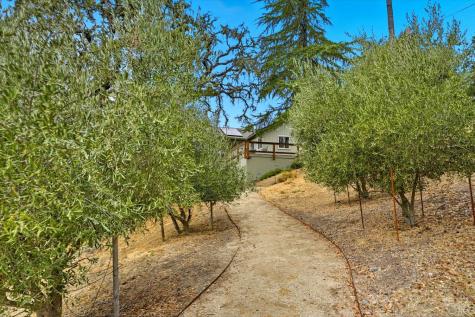 31000 Pine Mountain Road Cloverdale CA 95425