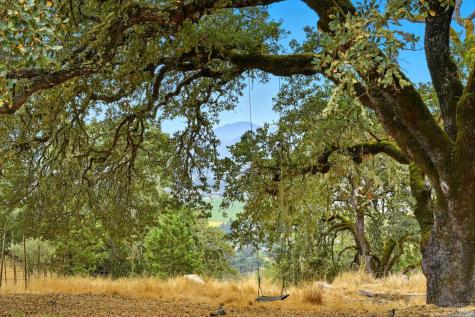 31000 Pine Mountain Road Cloverdale CA 95425