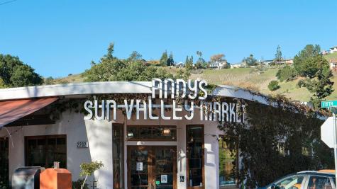 226 Bayview Street San Rafael CA 94901