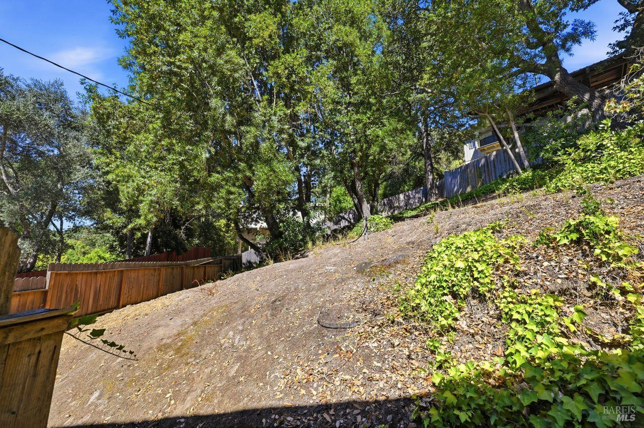 42 Oxford Drive San Rafael CA 94903