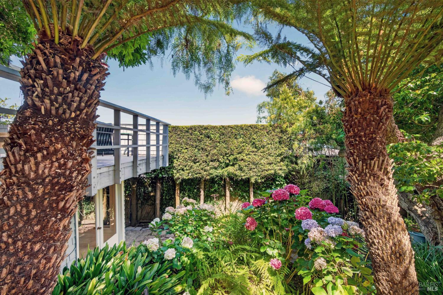 2459 Mar East Street Tiburon CA 94920