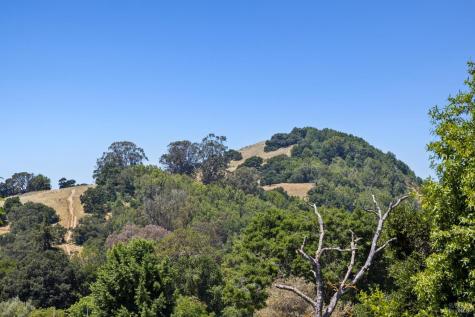15 Thorsson Court Novato CA 94947