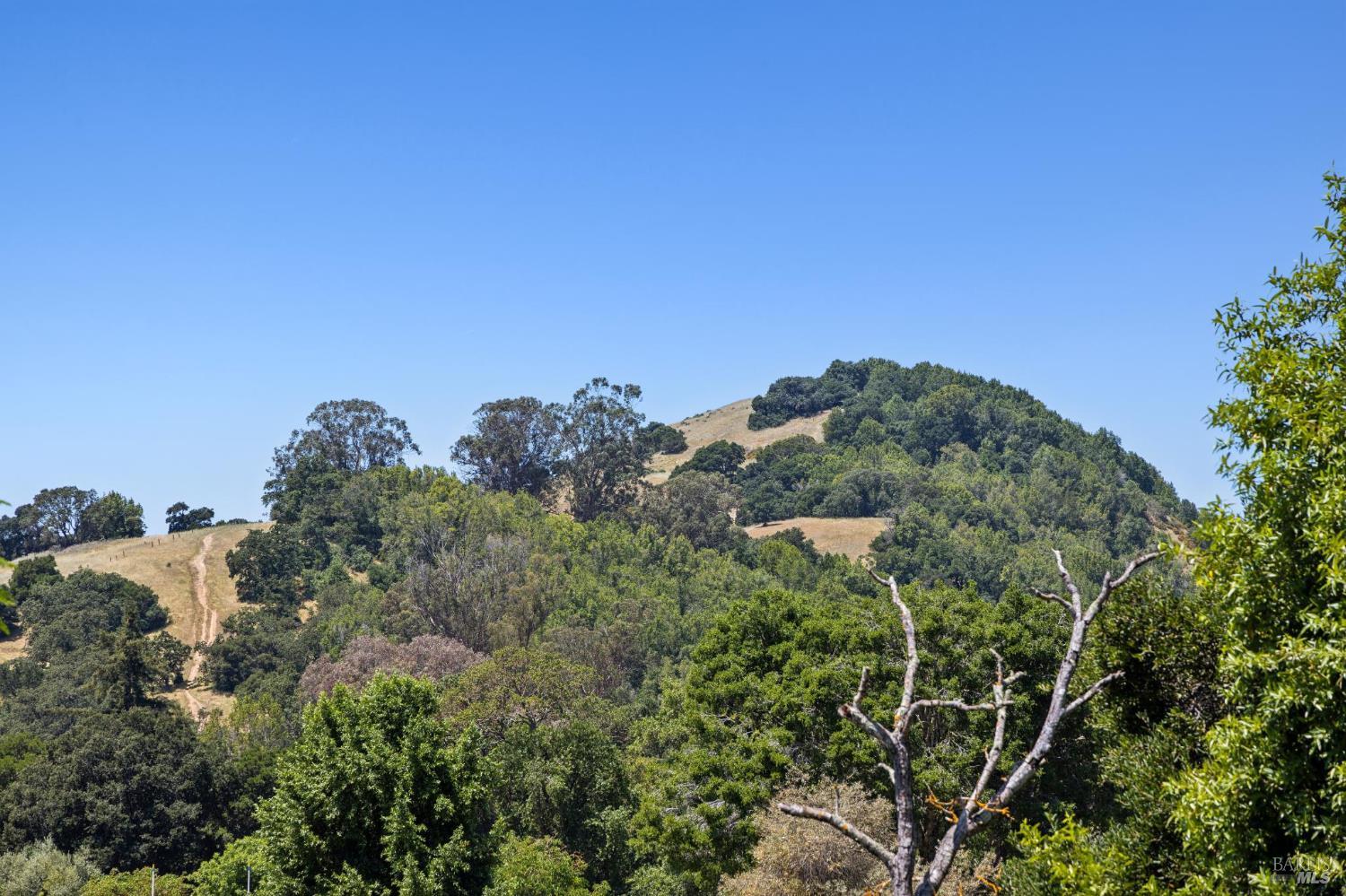 15 Thorsson Court Novato CA 94947