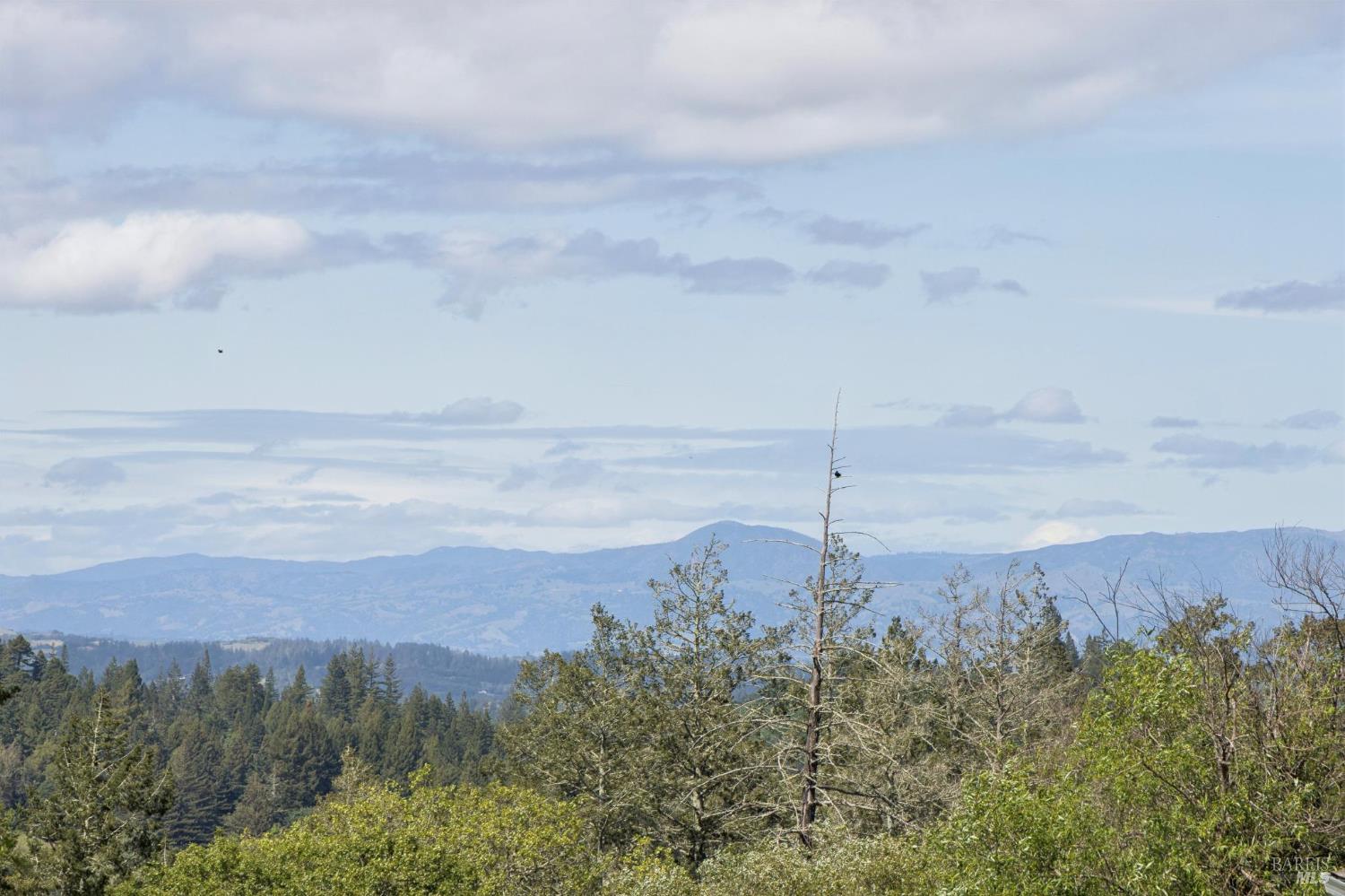 11740 Occidental Road Sebastopol CA 95472