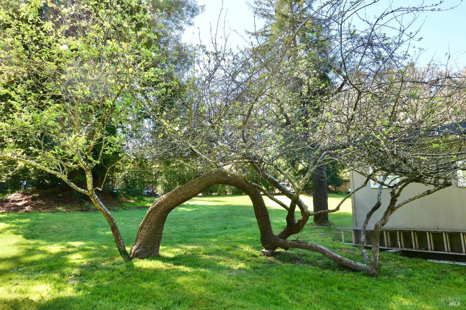 30860 Simpson Lane Fort Bragg CA 95437