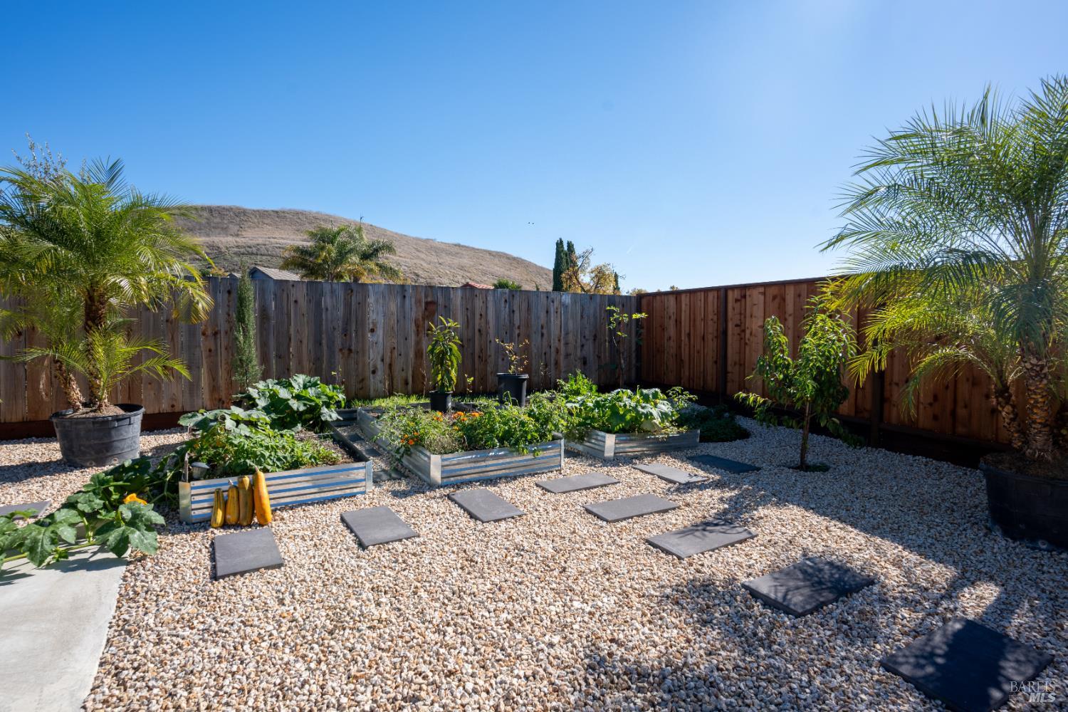 457 Violet Road Hercules CA 94547