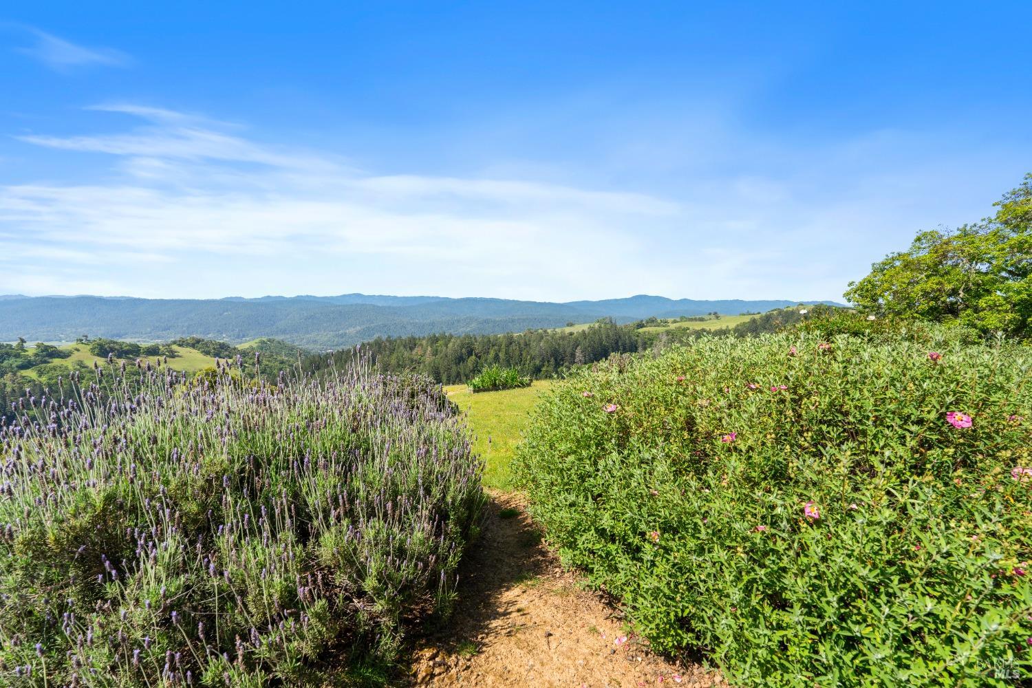 9655 Peachland Road Boonville CA 95415