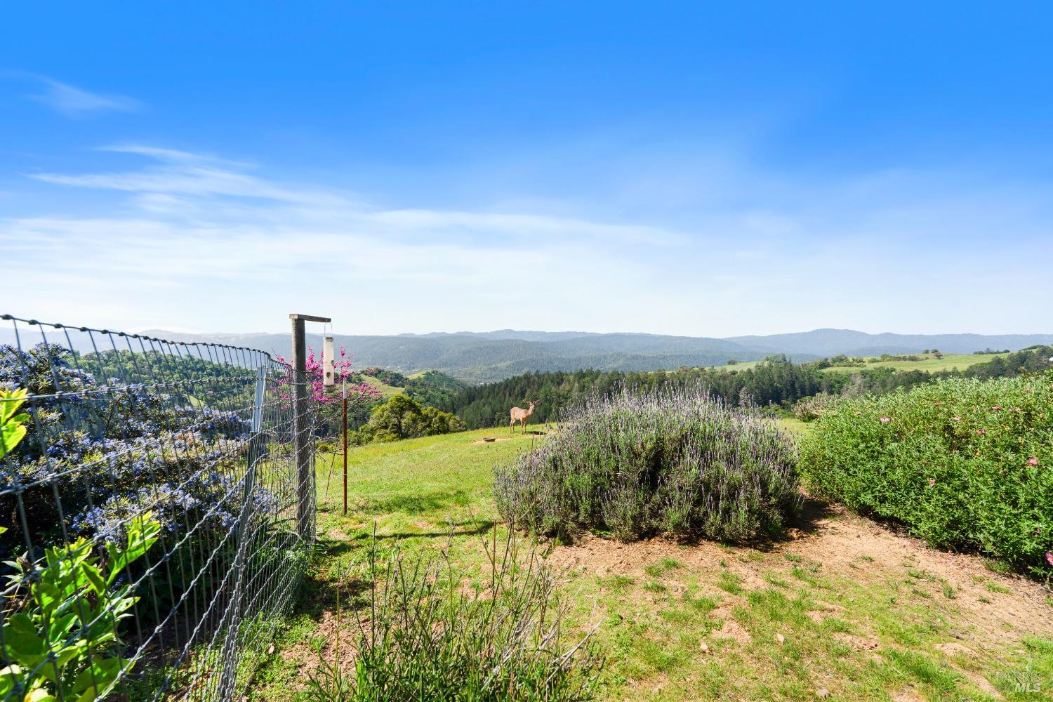 9655 Peachland Road Boonville CA 95415