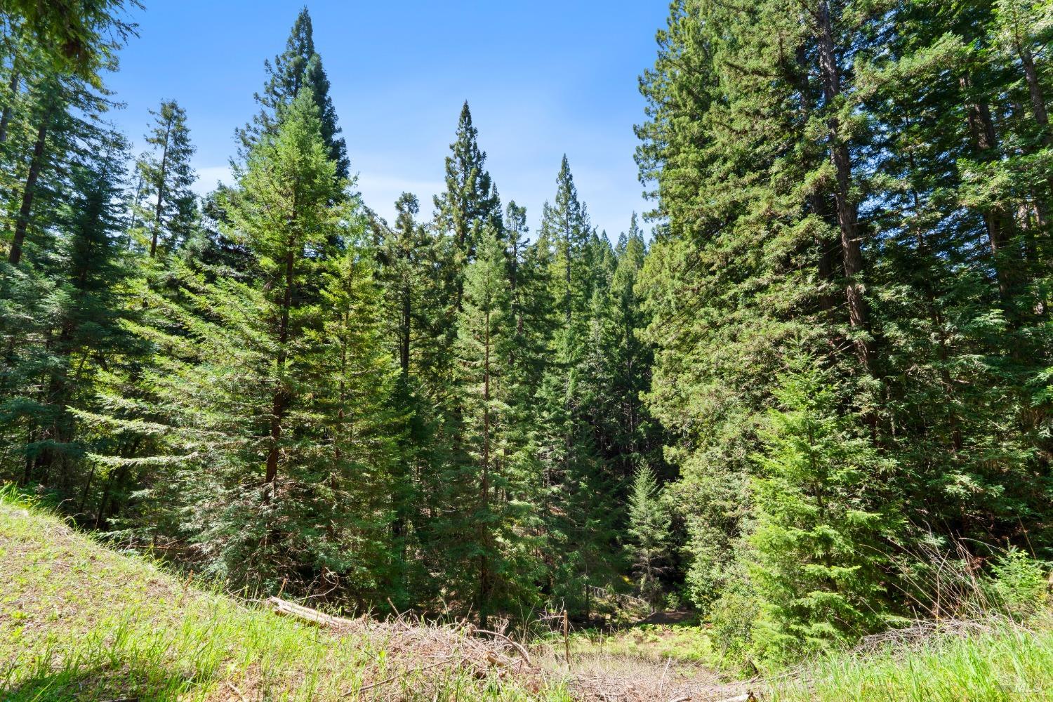 9655 Peachland Road Boonville CA 95415