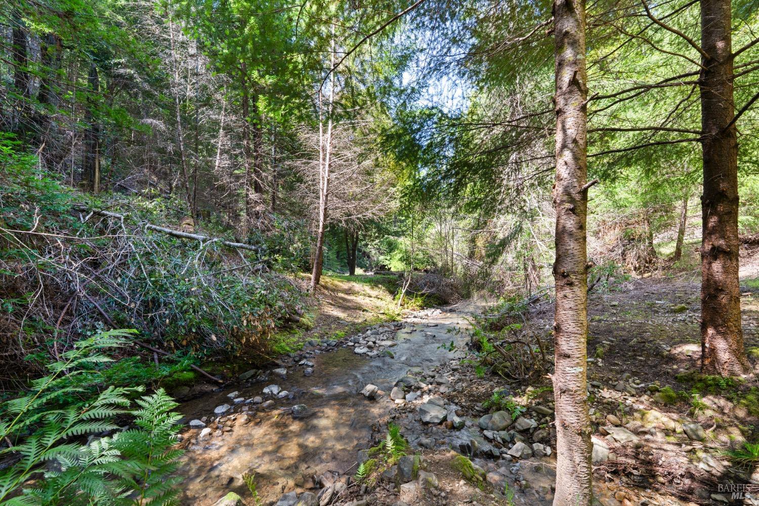 9655 Peachland Road Boonville CA 95415