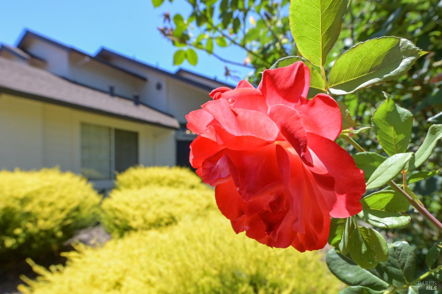 6441 Yale Street Windsor CA 95492