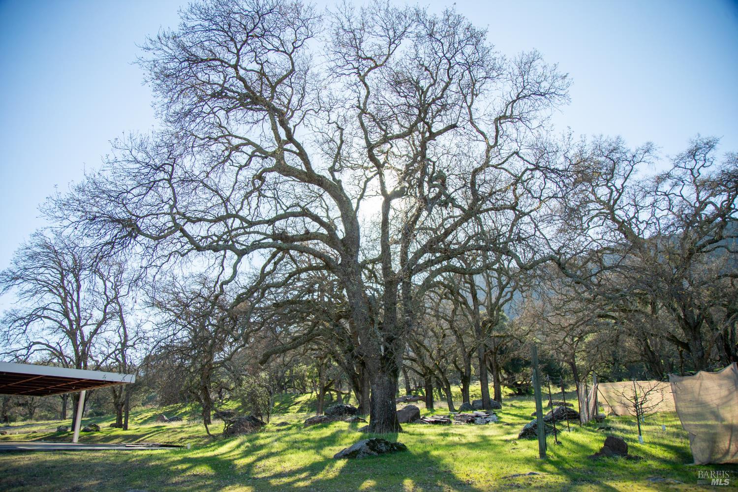 3576 Monticello Road Napa CA 94558