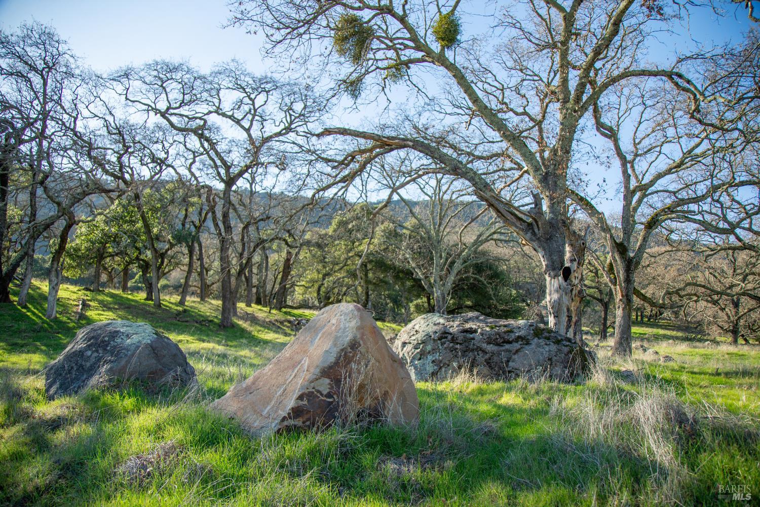 3576 Monticello Road Napa CA 94558
