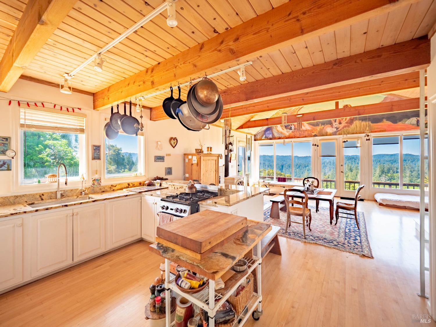 16101 Lost Creek Road Yorkville CA 95494