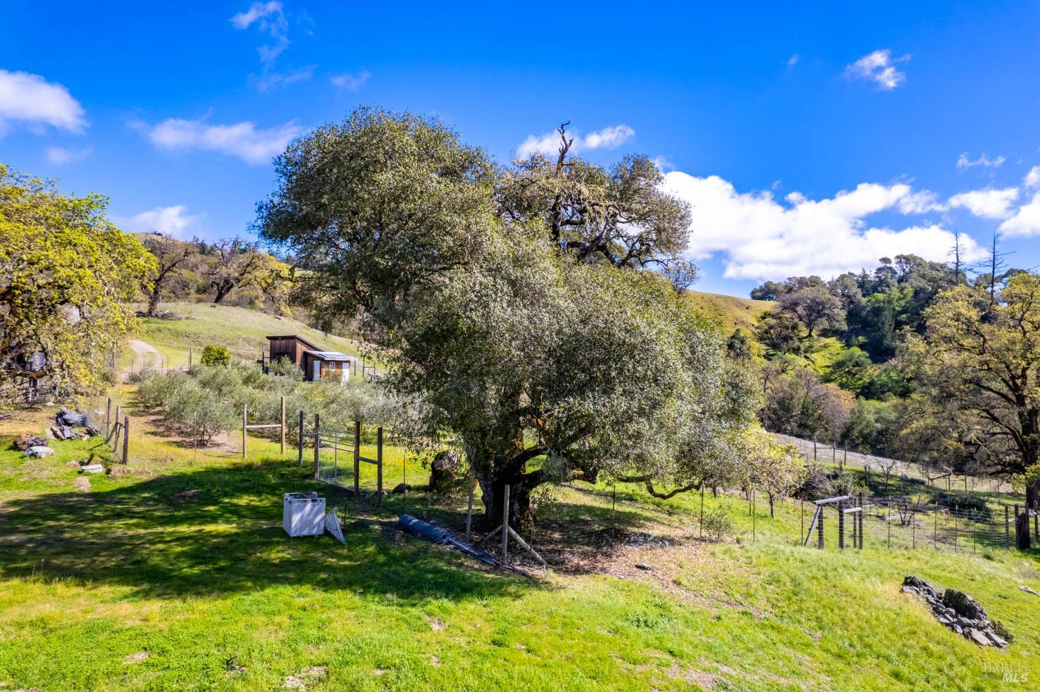 16101 Lost Creek Road Yorkville CA 95494