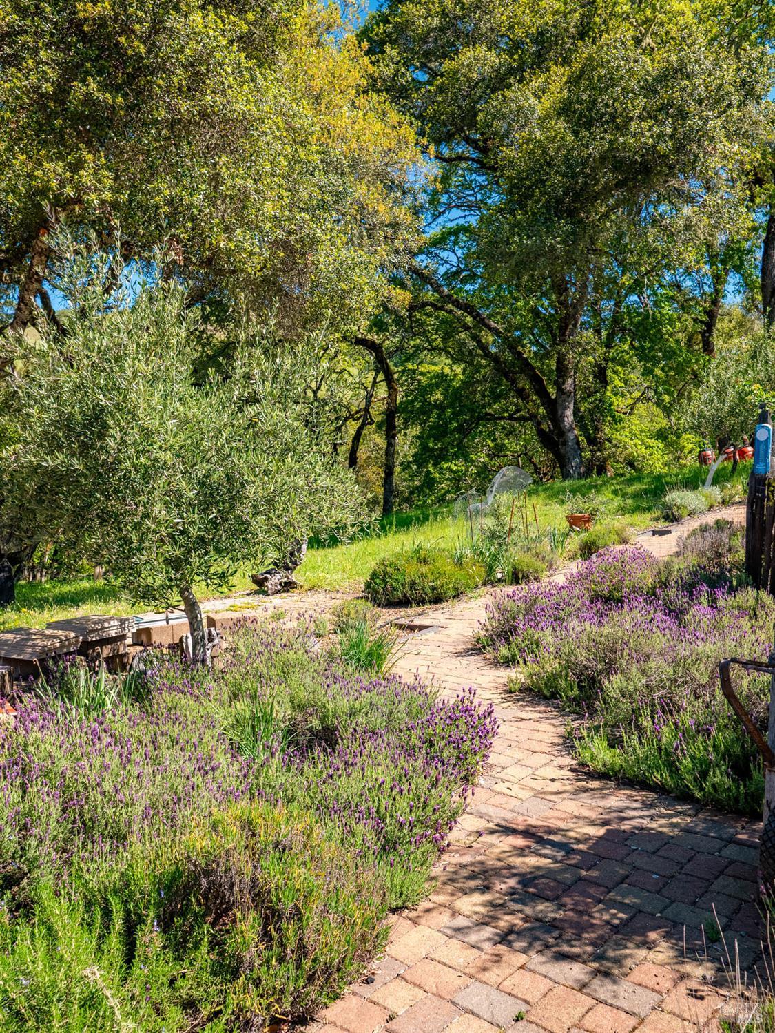 16101 Lost Creek Road Yorkville CA 95494