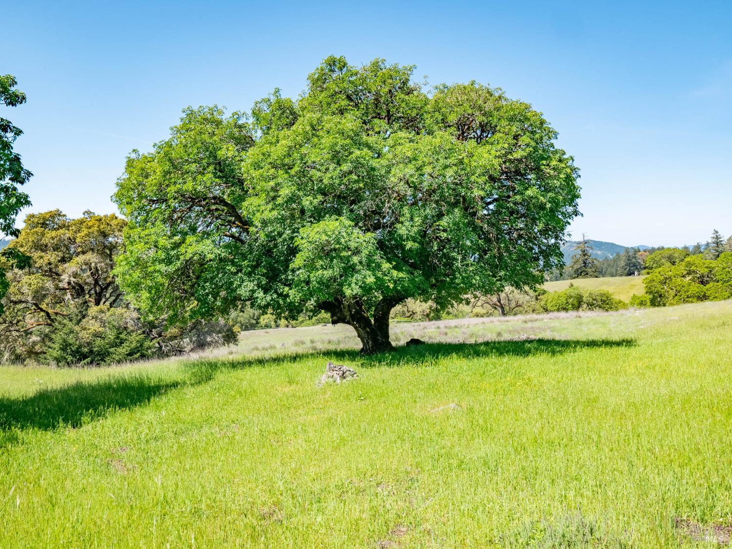 16101 Lost Creek Road Yorkville CA 95494
