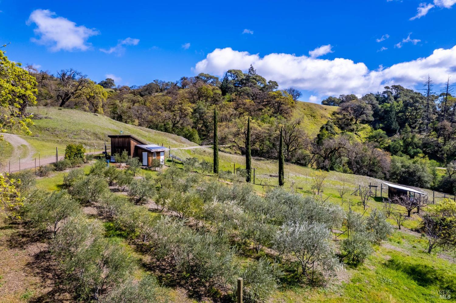 16101 Lost Creek Road Yorkville CA 95494