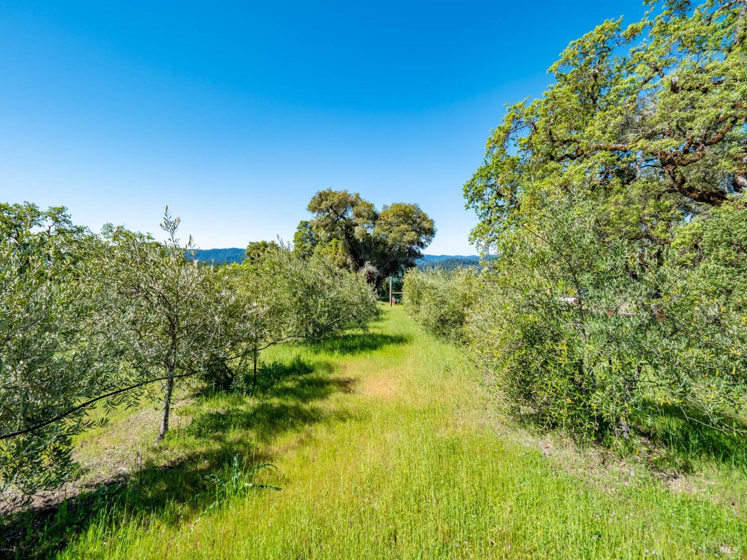 16101 Lost Creek Road Yorkville CA 95494
